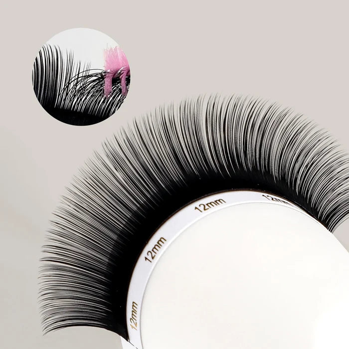 Camellia Volume Lash Extensions 0.07mm| Swaniya Lashes