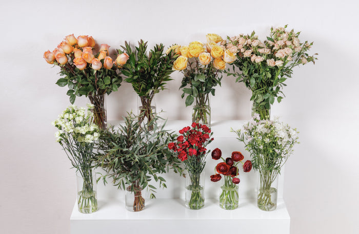 Amber & Ember DIY Wedding Flowers Collection (2026)