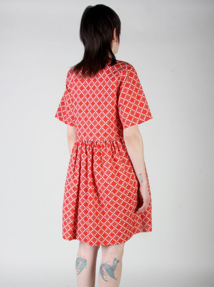 BIRDS OF NORTH AMERICA Robe Citril Finch - Red Patches