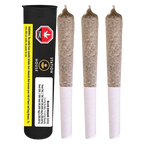 Three pre-rolled joints standing upright beside a black tube packaging labeled "Blue Dream PR 3 x 0.5 g" against a white background.