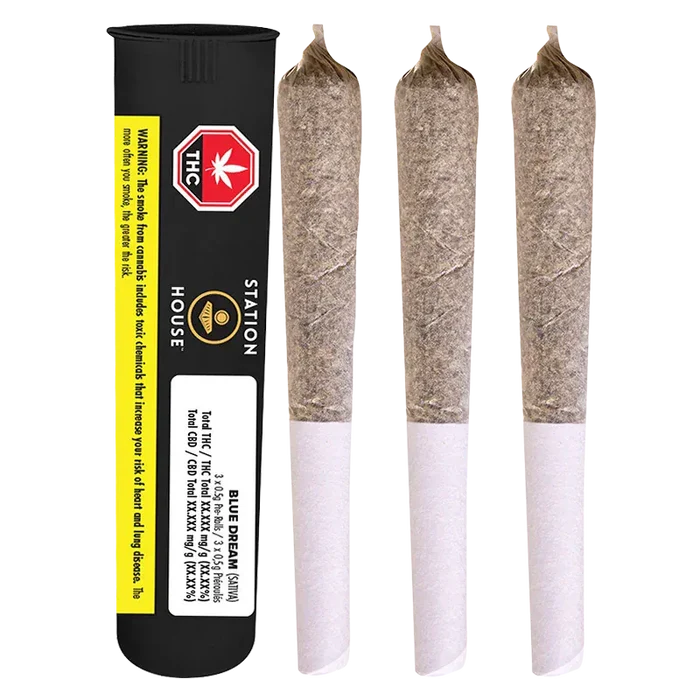 Three pre-rolled joints standing upright beside a black tube packaging labeled "Blue Dream PR 3 x 0.5 g" against a white background.