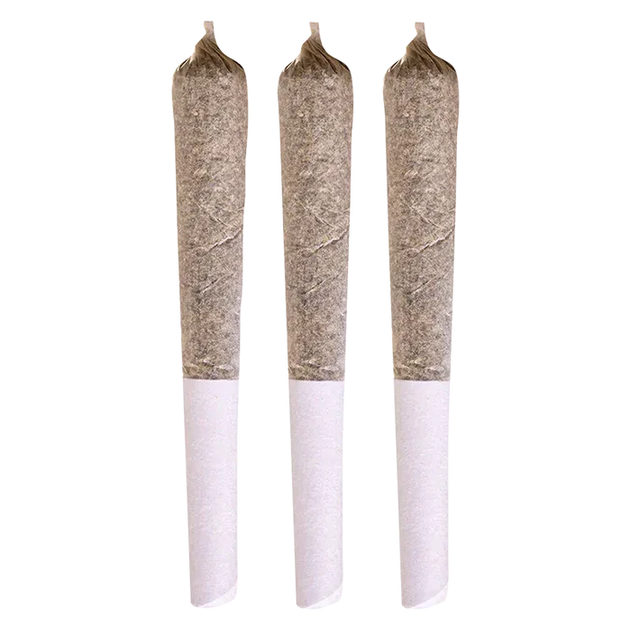 Three upright pre-rolled joints in a row photographed against a white background labeled Blue Dream PR 3 x 0.5 g.