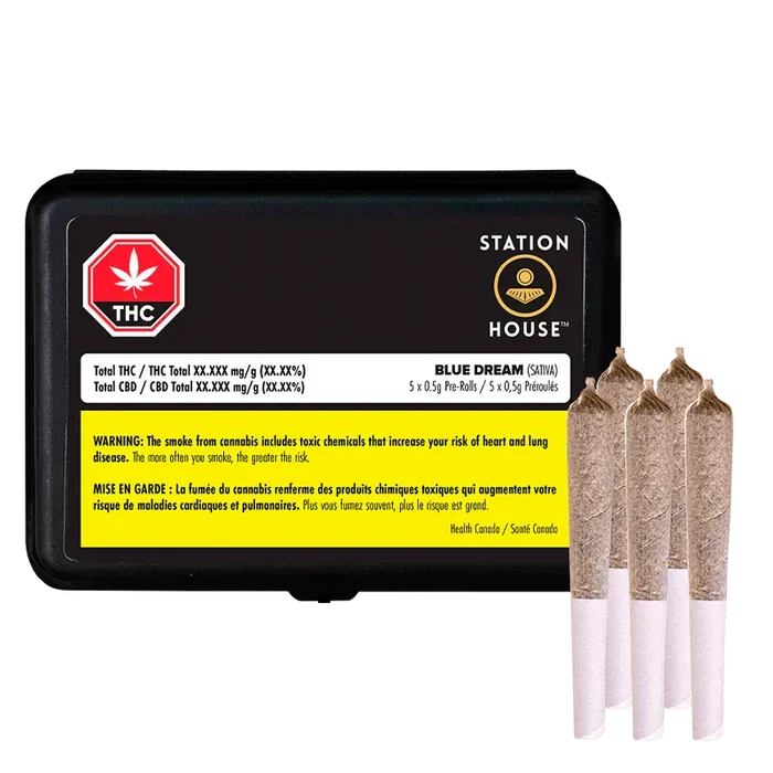 Rectangular black tin labeled "Blue Dream PR 5 x 0.5 g" sits at left with four rolled joints standing upright to its right.