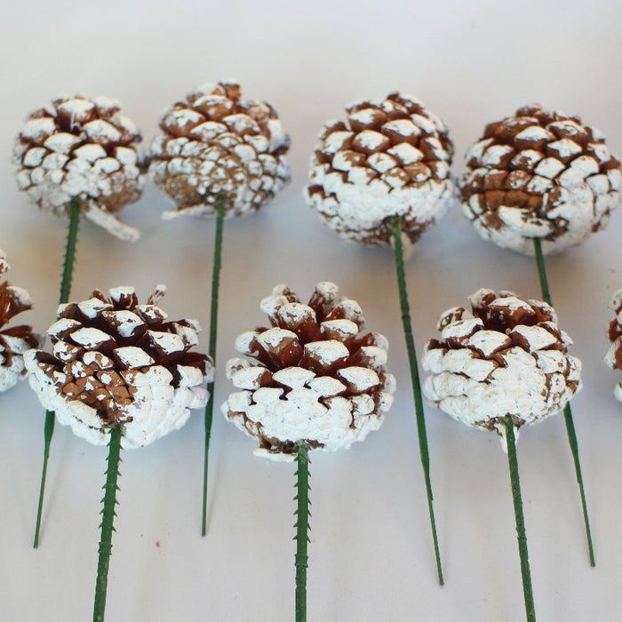 Bulk 20Pcs 2 Inch Christmas Natural Pine Cones Picks Snow Tipped Wholesale