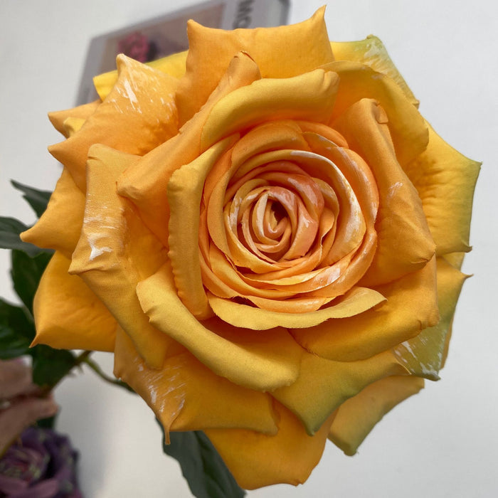 Orange/Yellow