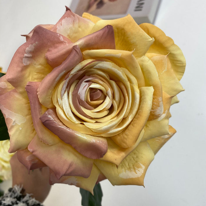 Yellow/Pink