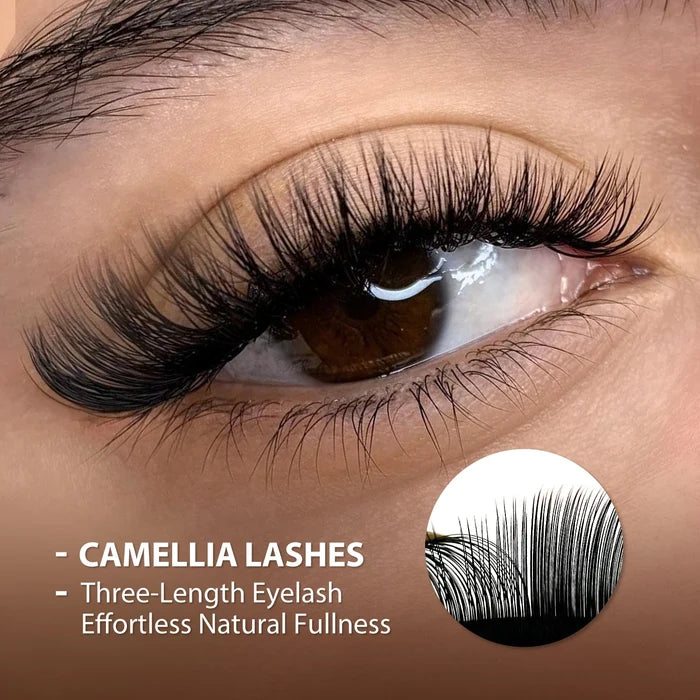 Camellia Volume Lash Extensions 0.07mm| Swaniya Lashes