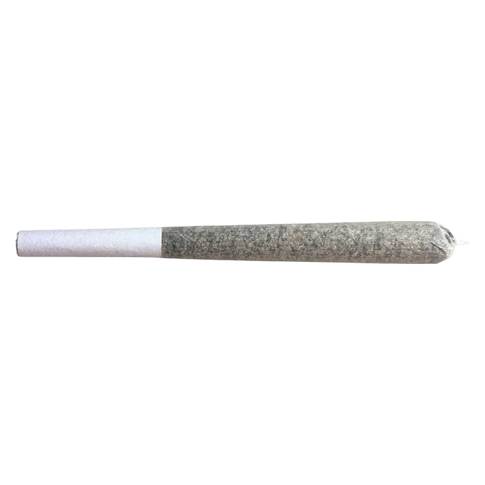 Horizontal close-up of a single rolled "Glazed Apricot Gelato PR 5 x 0.5 g" joint on a white background, showing its white paper filter and twisted tip.