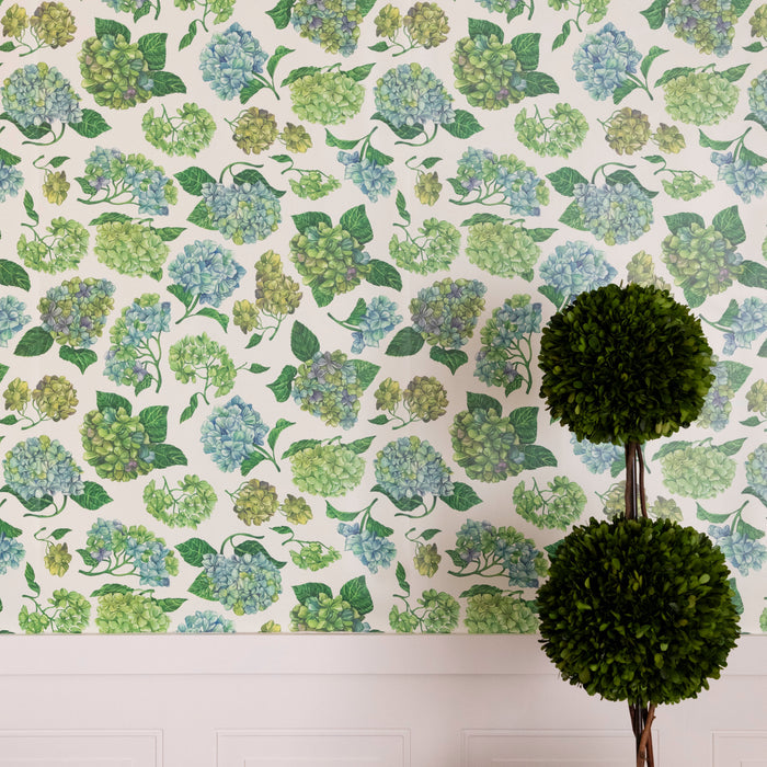 Hydrangea Wallpaper