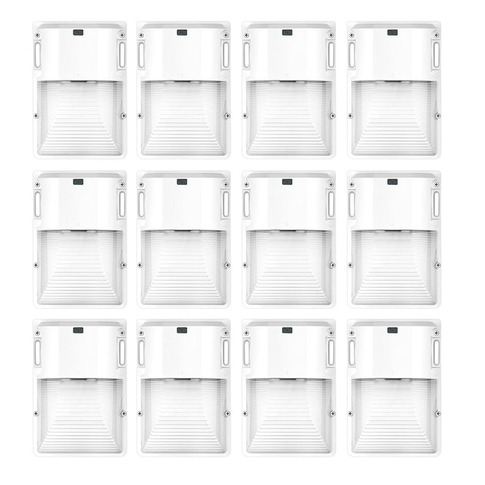 Pack of 12
