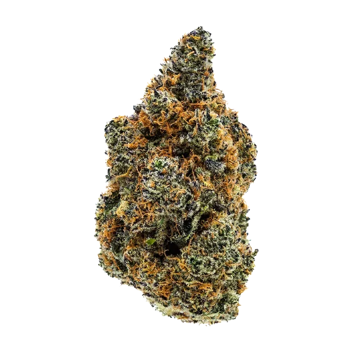 Close-up front view of the "Omakase" cannabis bud against a white background, showing dense green nugs, orange pistils, and frosty trichomes.