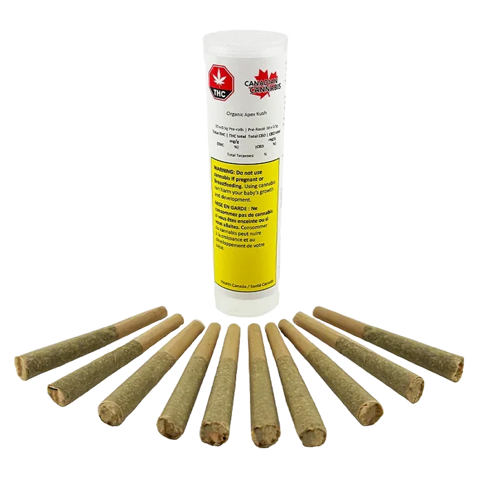 Front-on shot of a clear tube of Organic Apex Kush PR 10 x 0.5 g standing upright behind a semicircle of prerolled joints on a white background.
