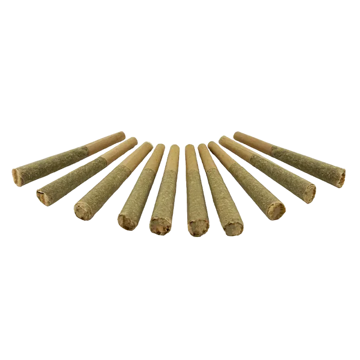 Low-angle row view of twelve pre-rolled Organic Apex Kush PR 10 x 0.5 g joints fanned out on a white background.