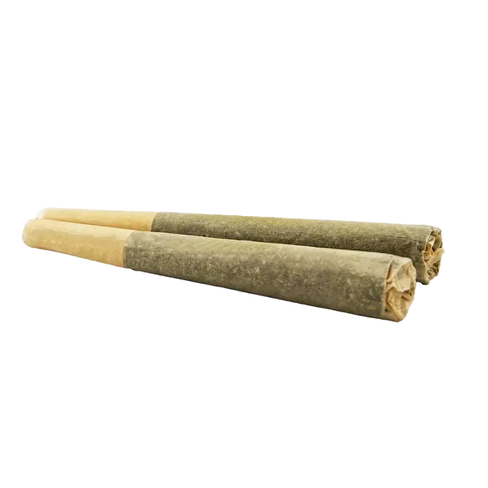 Low-angle close-up of two Organic Apex Kush PR 2 x 1 g pre-rolls laid side-by-side on a white background.