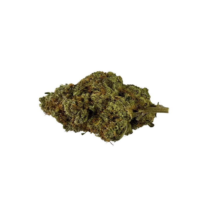Close-up of a single green and amber bud of Organic Apex Kush shown against a white background, photographed from a slight top-front angle.
