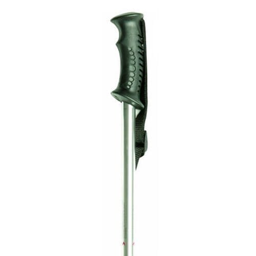 Image of Traditional Hiking Handled Nordic Walking Pole on a plain background.