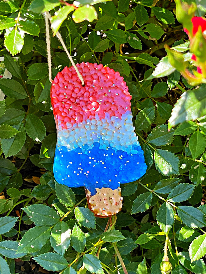 Wholesale | 10 packs | USA pop freshies